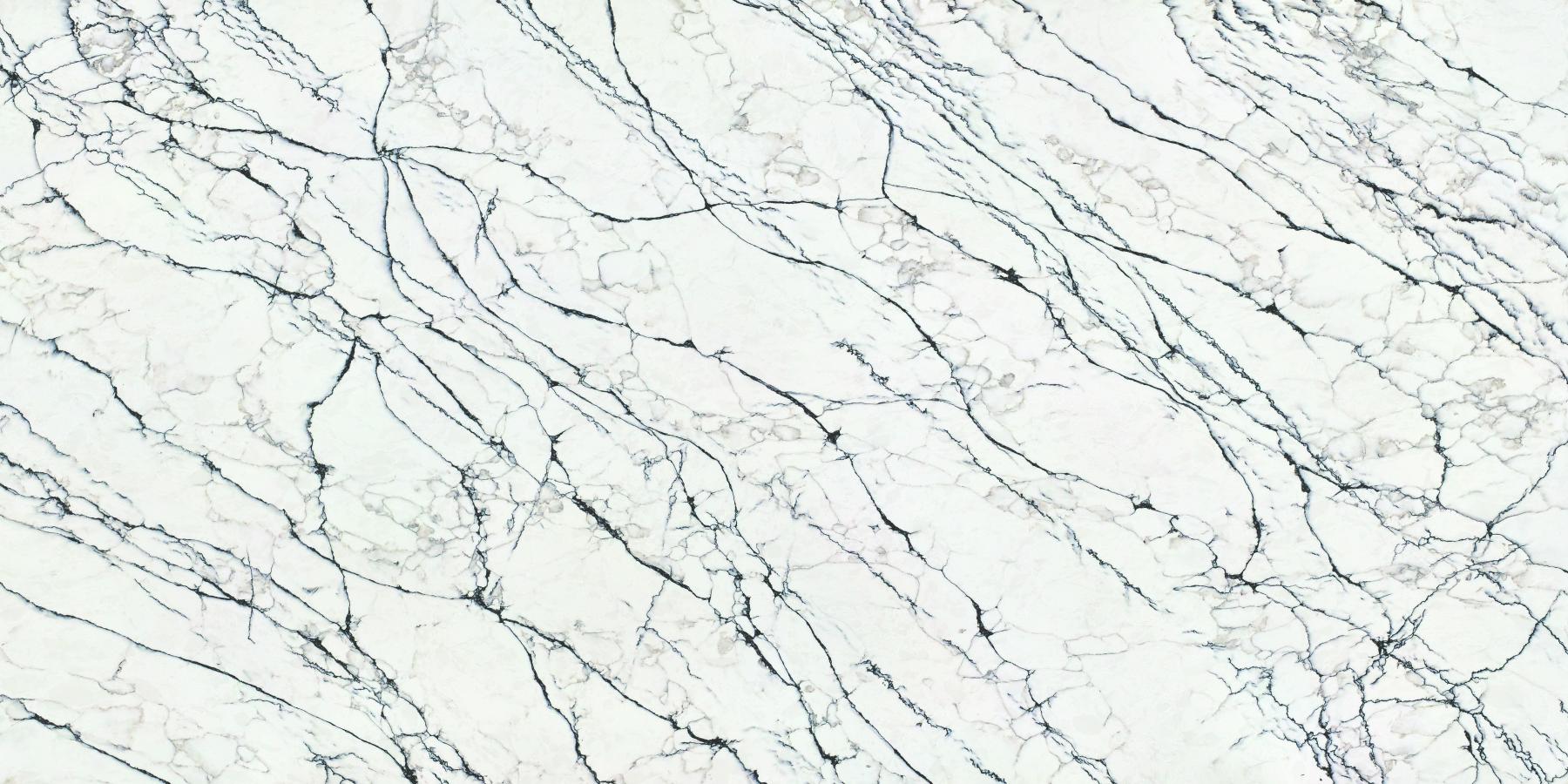 Belgravia slab polished