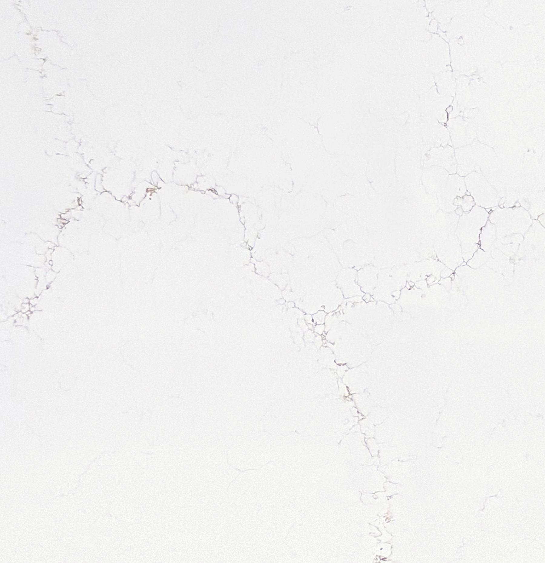 Misterio Oro polished