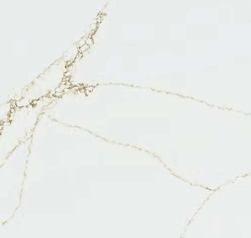 Harmony Gold polished