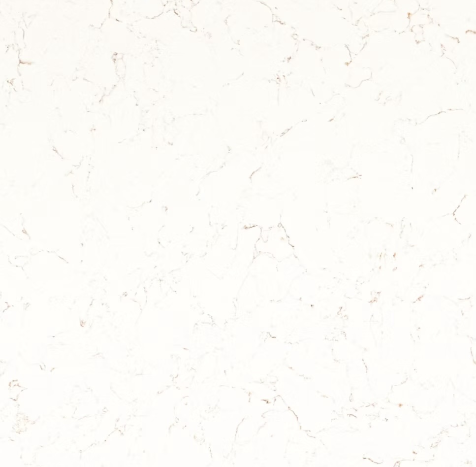 Capricorn Gold polished