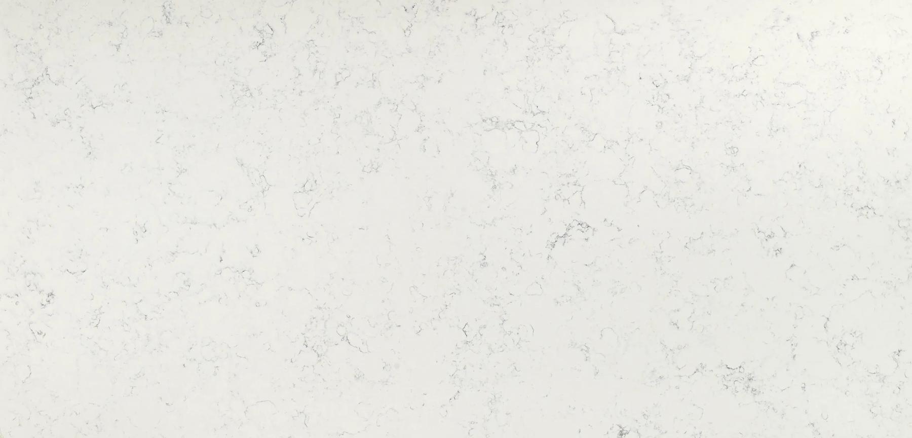 Carrara White polish and matt
